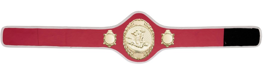 MMA CHAMPIONSHIP BELT-PRO286/G/MMAG-10+ COLOURS